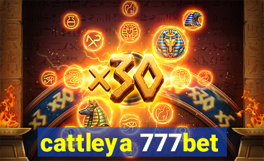 cattleya 777bet